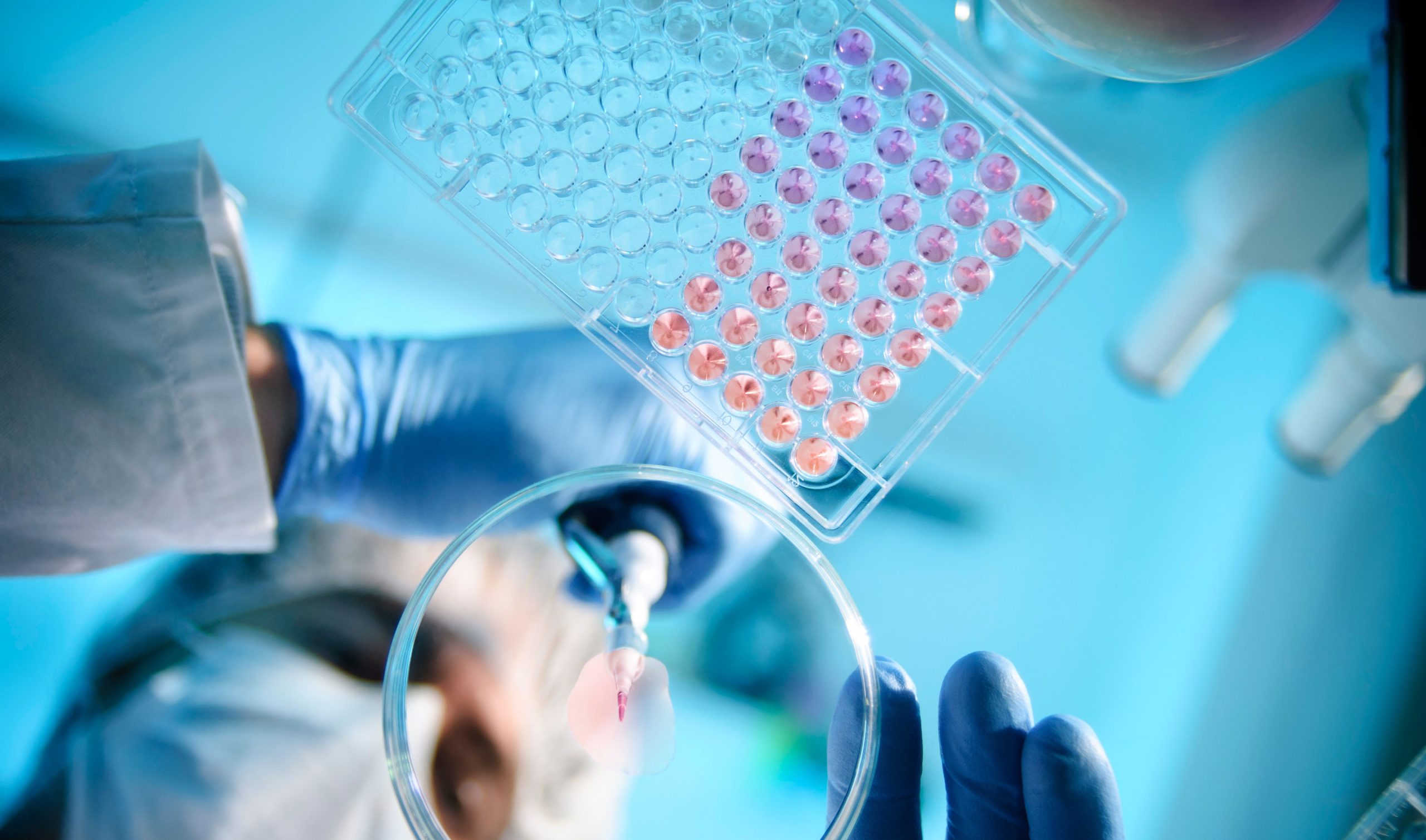 <br />
<b>Warning</b>:  Undefined variable $hero_id in <b>/home/site/wwwroot/wp-content/themes/arthut-d-little/single.php</b> on line <b>98</b><br />
Fast Pharma: The Cost of Coming in Second in Clinical Trials